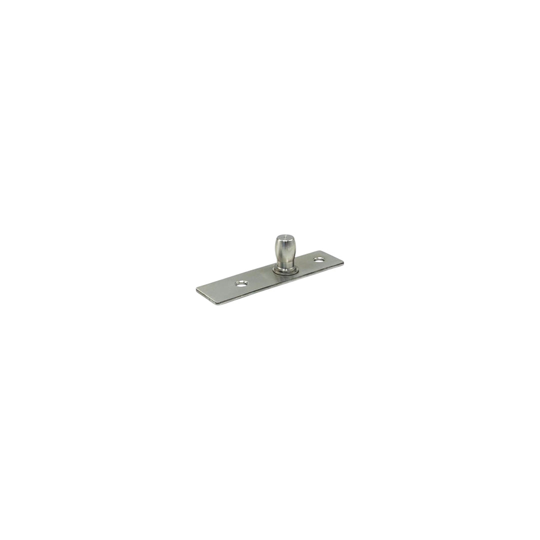 Glass Door Pivot (PF)