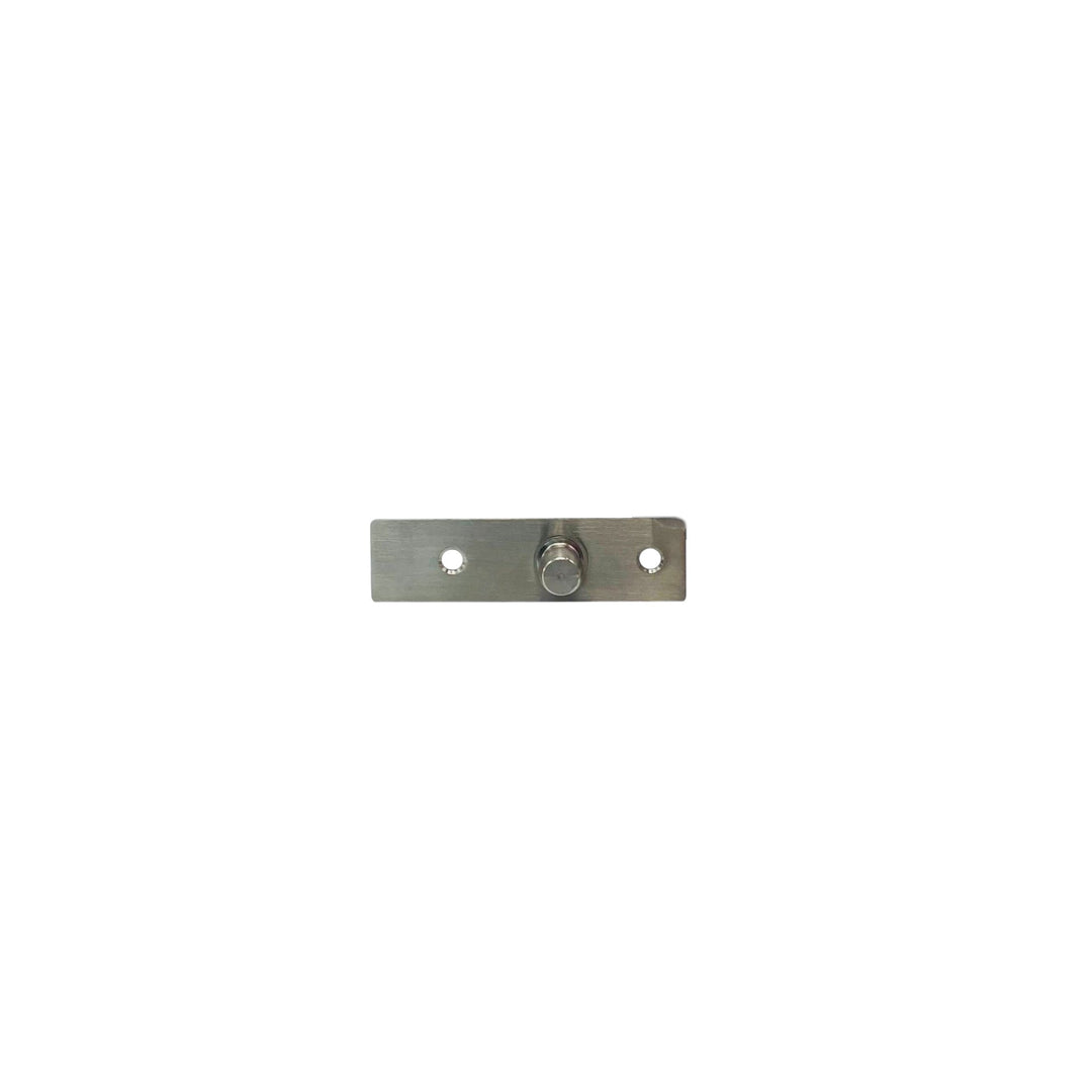 Glass Door Pivot (PF)